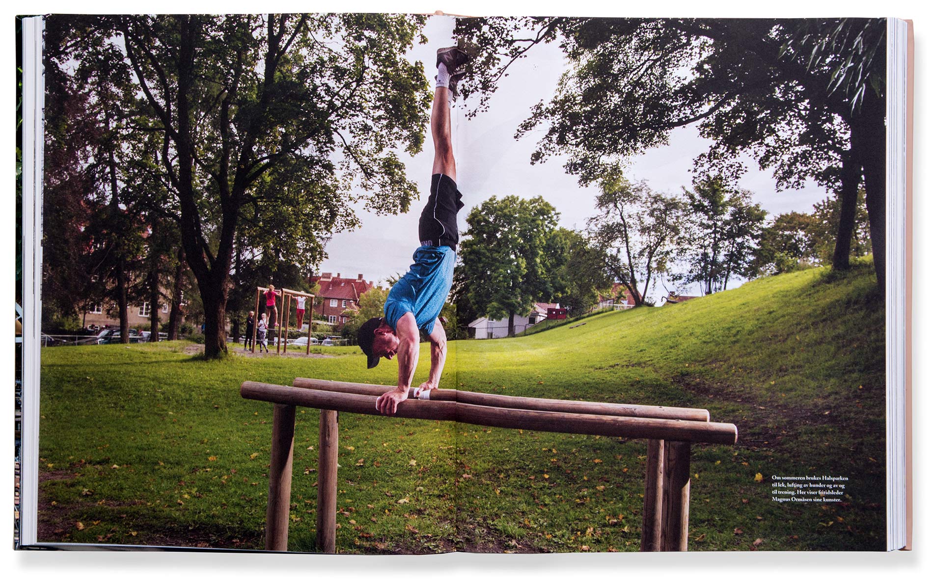 ullev-hageby-100ar_004-